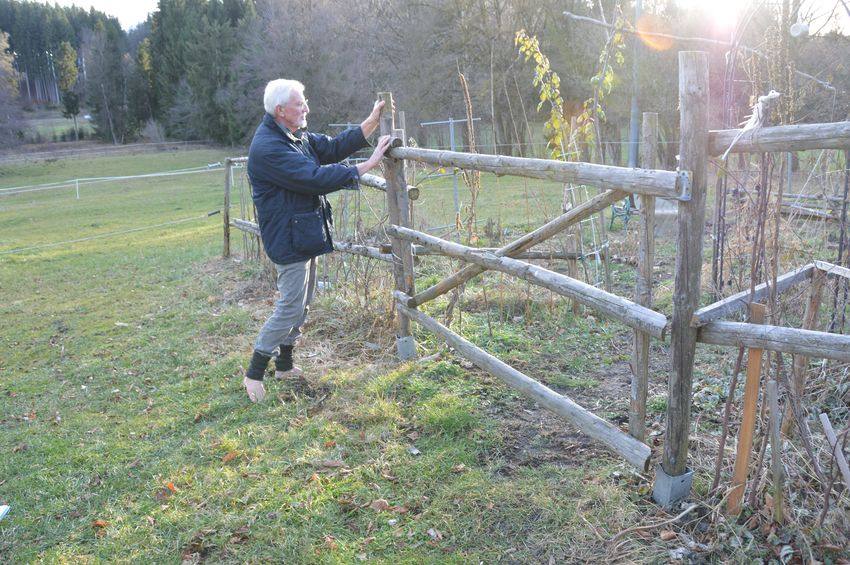 Wolfgang prüft den alten Zaun